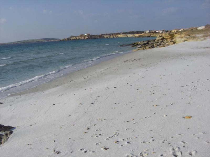 Bed and Breakfast Sardinia Eco Vegan House Zeddiani Exterior foto