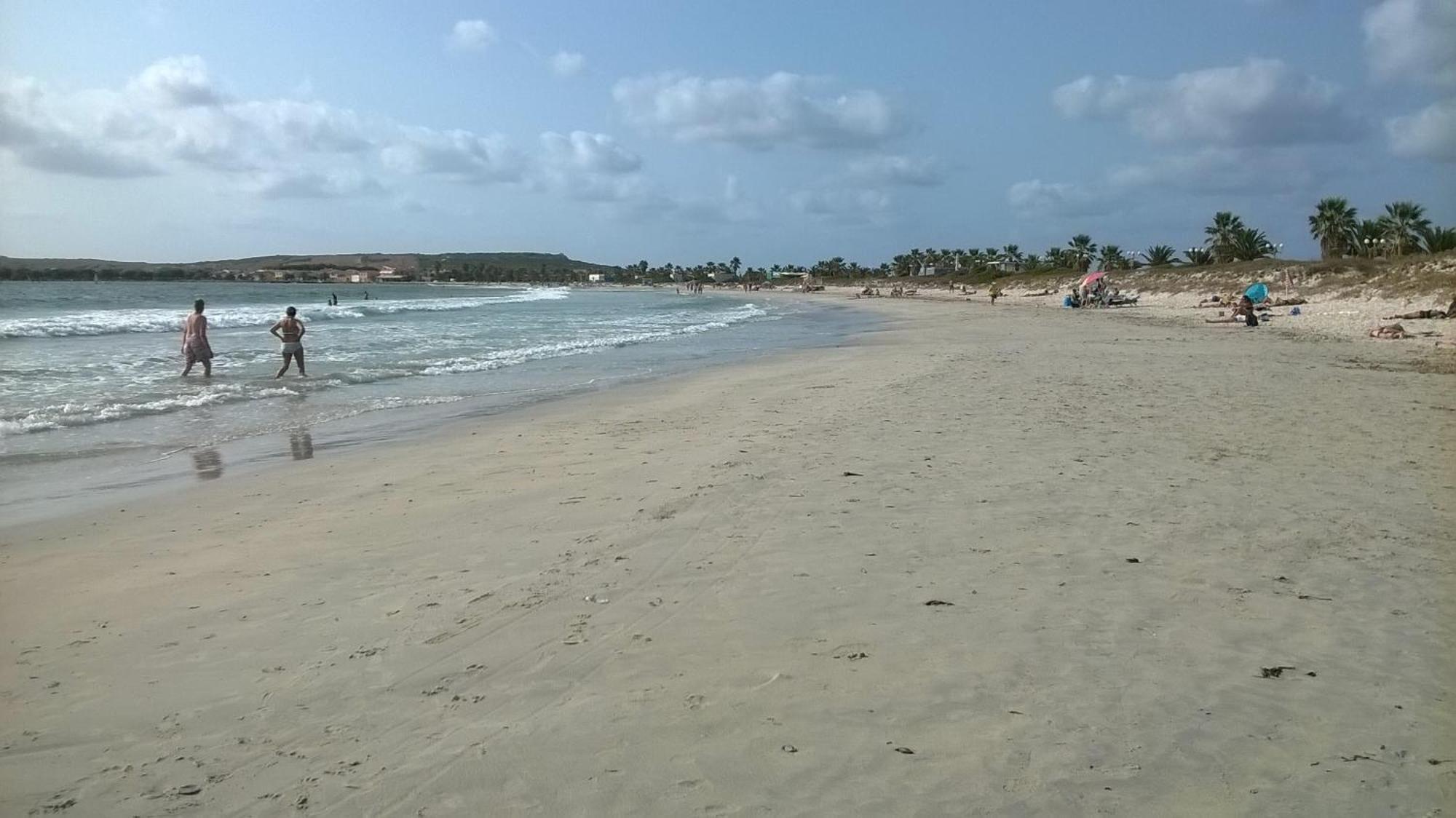 Bed and Breakfast Sardinia Eco Vegan House Zeddiani Exterior foto