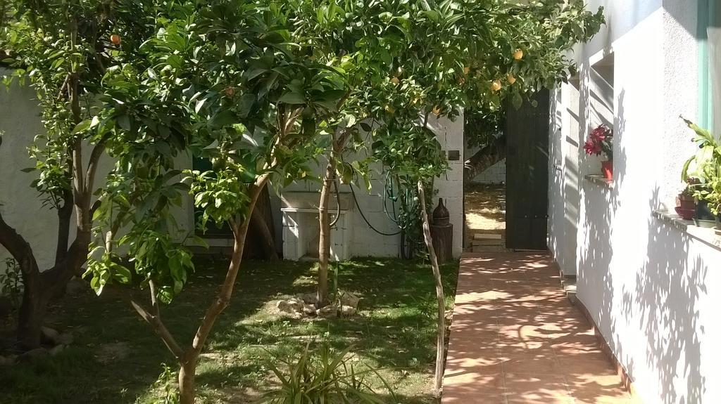 Bed and Breakfast Sardinia Eco Vegan House Zeddiani Exterior foto